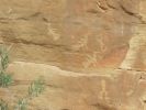 PICTURES/Crow Canyon Petroglyphs - Main Panel/t_Funky Birds1.jpg